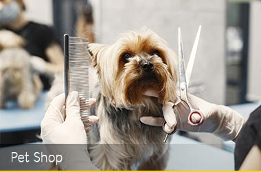 Pet Grooming Shop